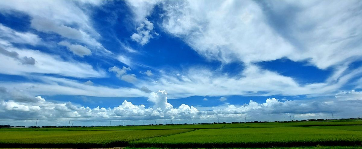 水田☁️☁️☁️🌾 📷️2022.8.11 台風が近づいていて すごい風 🥵暑すぎの今年