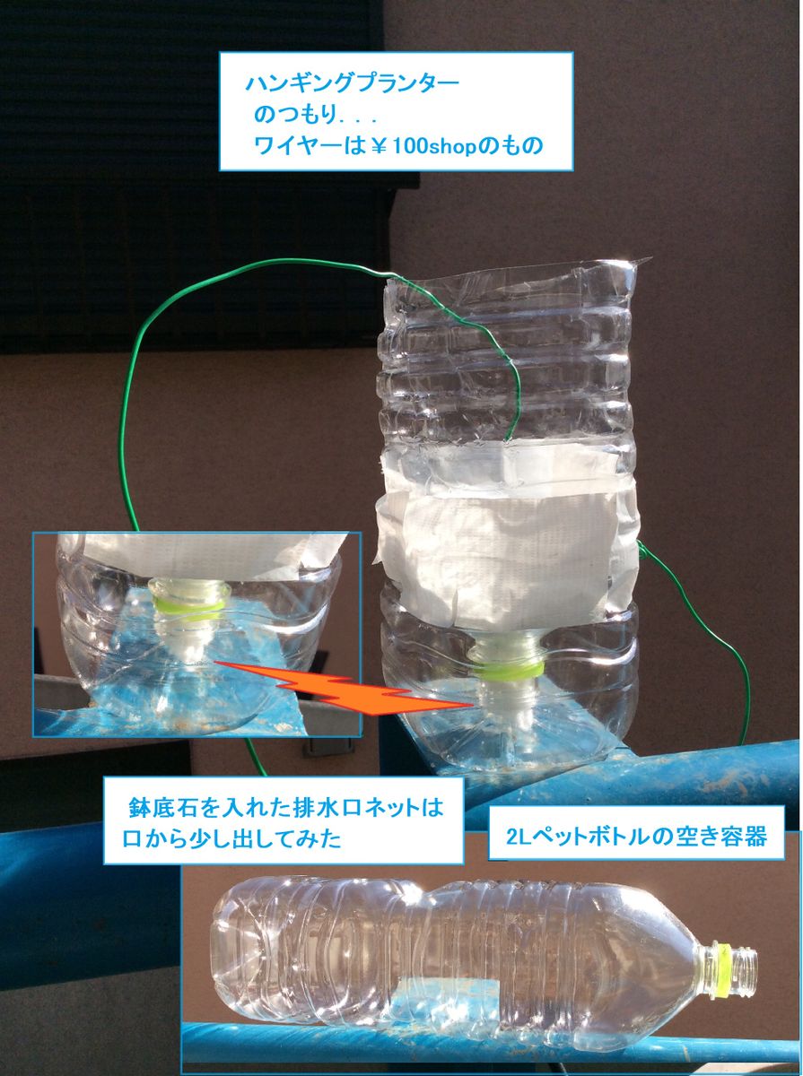 ペットボトル  ハンギングプランター (になればと思い作ってみた)