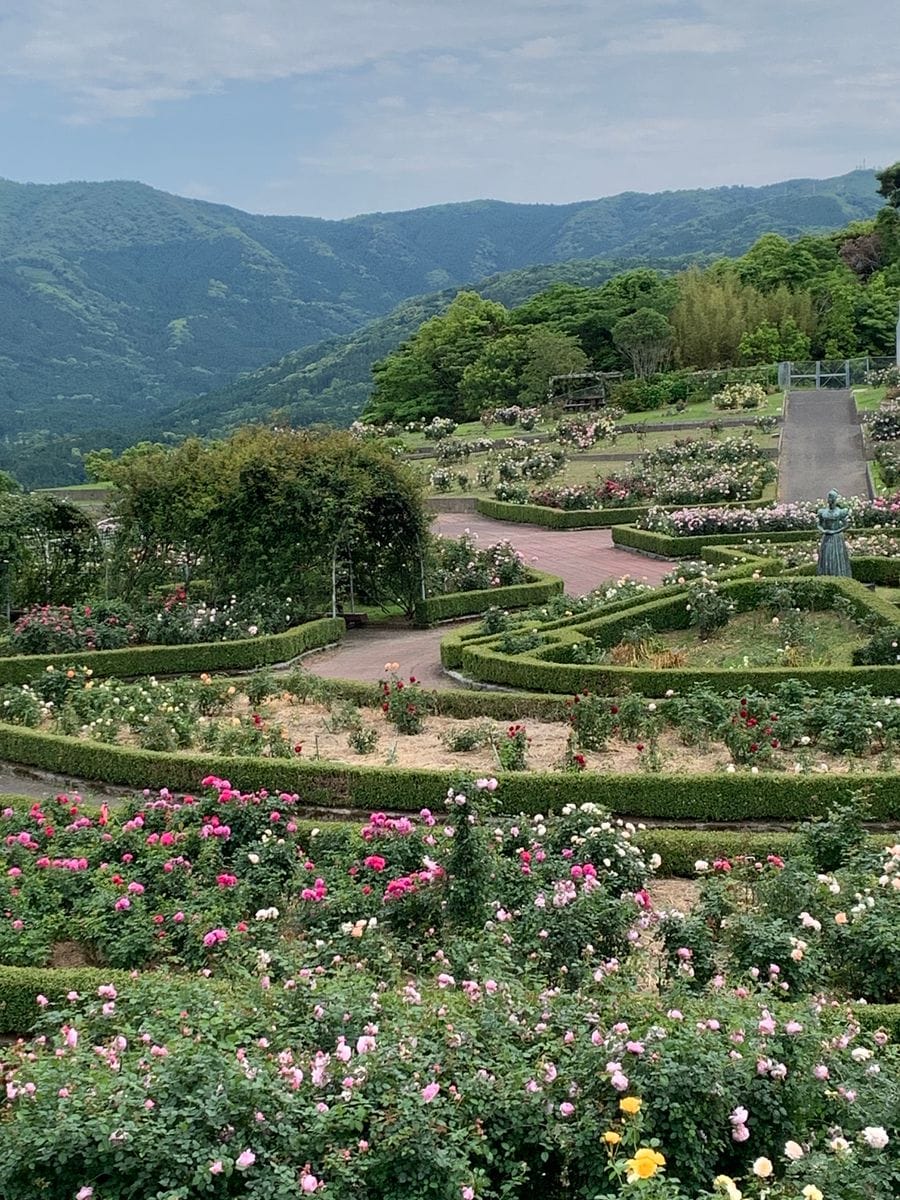 かのやばら園のイングリッシュ ガーデンコーナーです。秋に来たときは、あまり咲いて