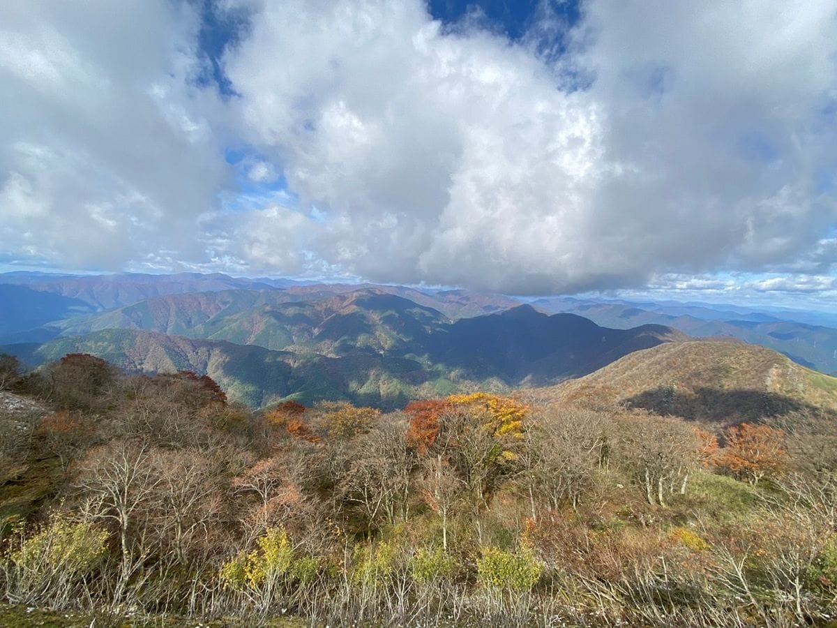 カエデ（モミジ）の写真 by マナ 伊吹山ドライブウェイ❣️🍁🍂  2021年11月3日 晴れ    