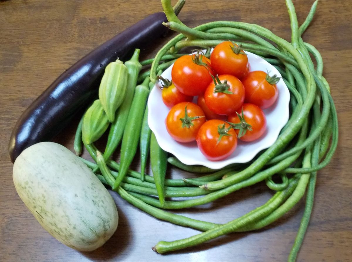 中玉トマトが主役🤭🍅💗 メロンは13こ目です😆🍈