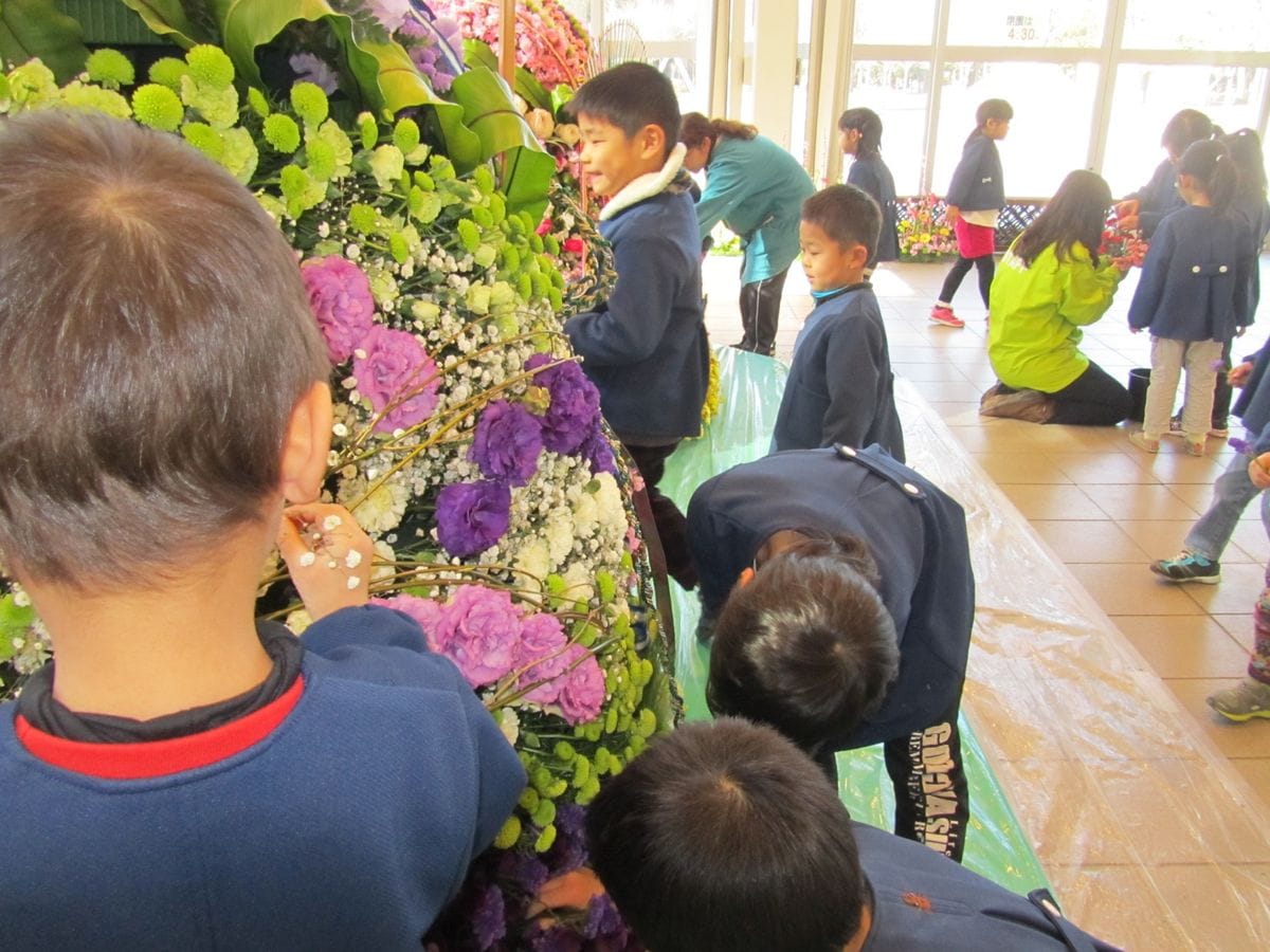 花の雛飾り(（公財）豊橋みどりの協会・ユリフラワー・天伯保育園)  展示日：2月21日