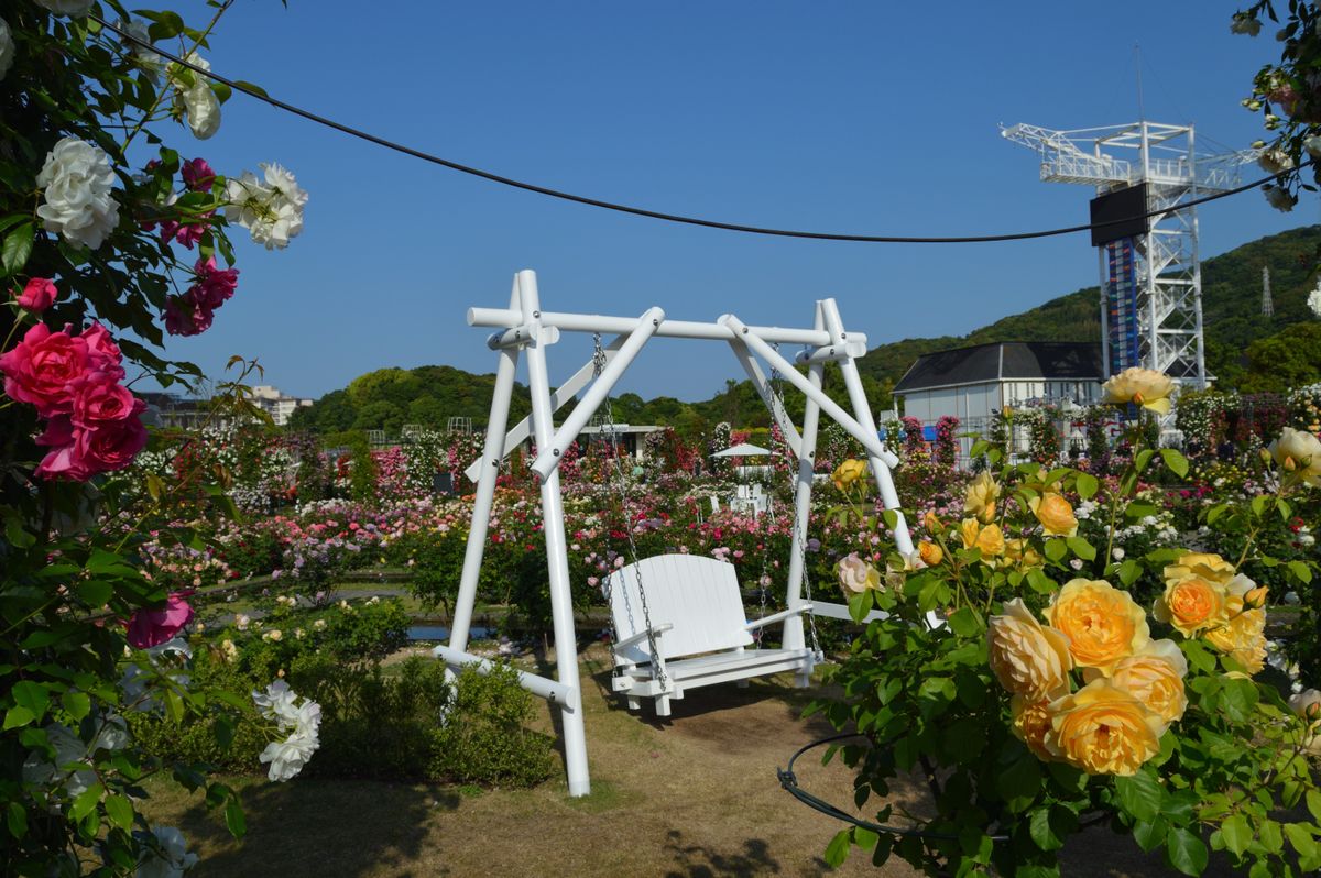 白いブランコのある風景