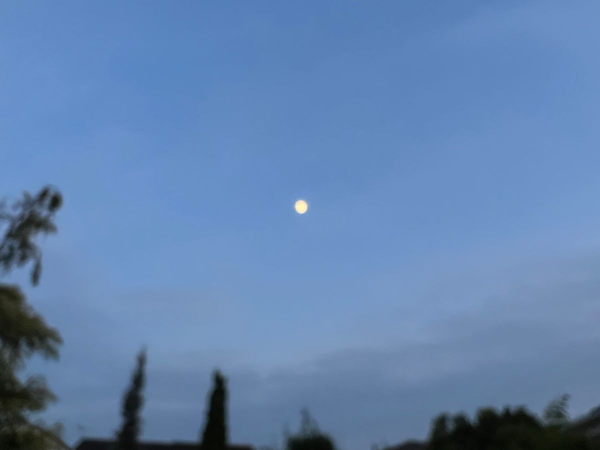 同じく2022年7月9日19時過ぎに裏庭から見えたお月様です🌔