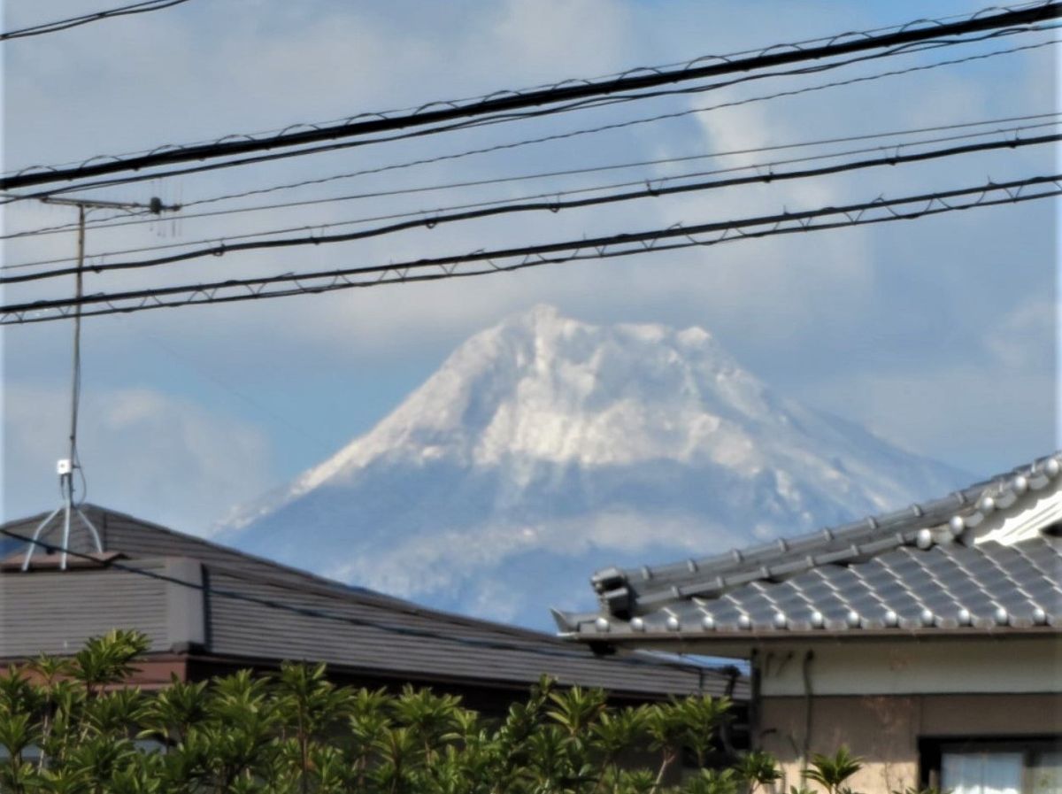 📷自宅は前の公園から遠望する由布岳を眺め...🔶積雪をした山の姿は、大分の「豊後富士