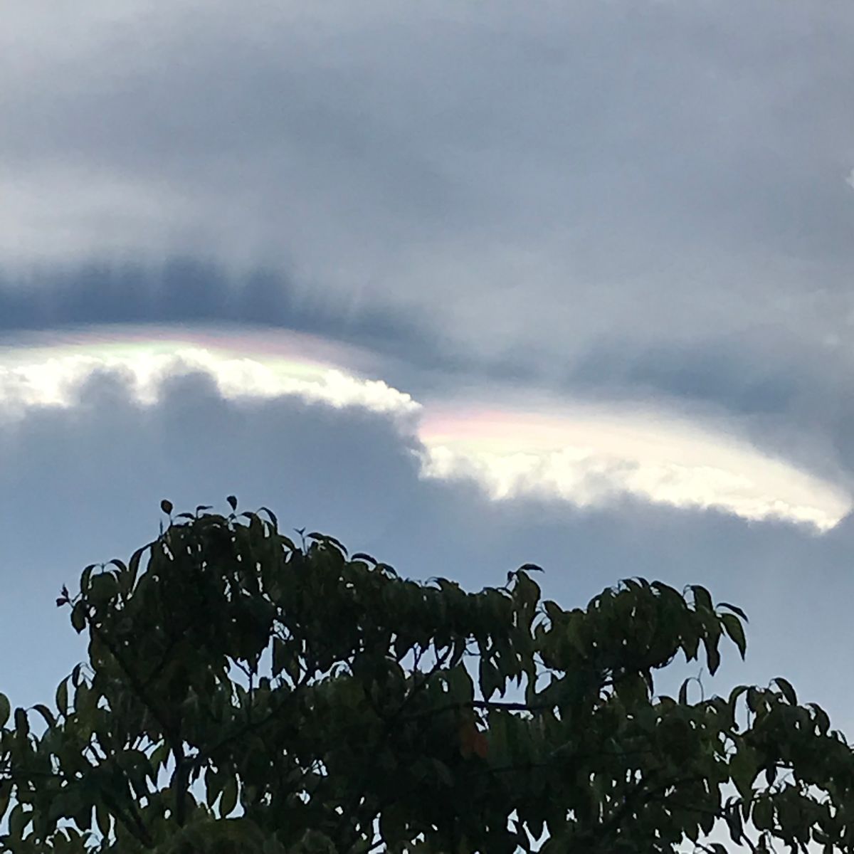 雲と雲の間がレインボーです❗️🌈 初めて見ました😳  しかし、久しぶりの投稿が雲とは😓 