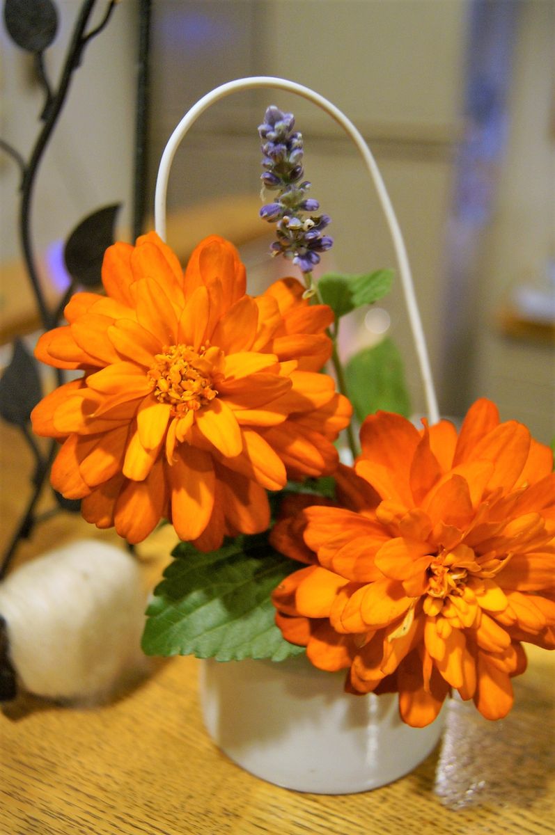 🏡昨日のお花達・・🌺🌳 植え込み中、折れてしまったお花は キッチンへ😊