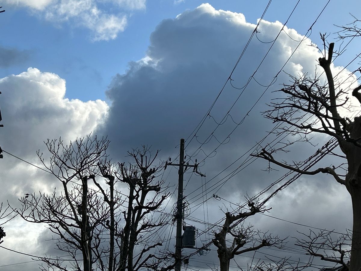 黒い吹き出し💭 真ん中の黒い大きな雲です  今朝の庭より