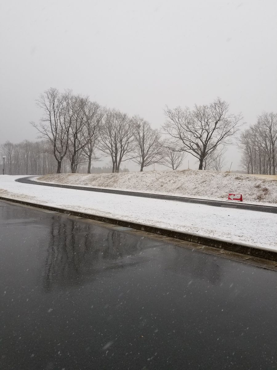 うっすらと雪化粧❄