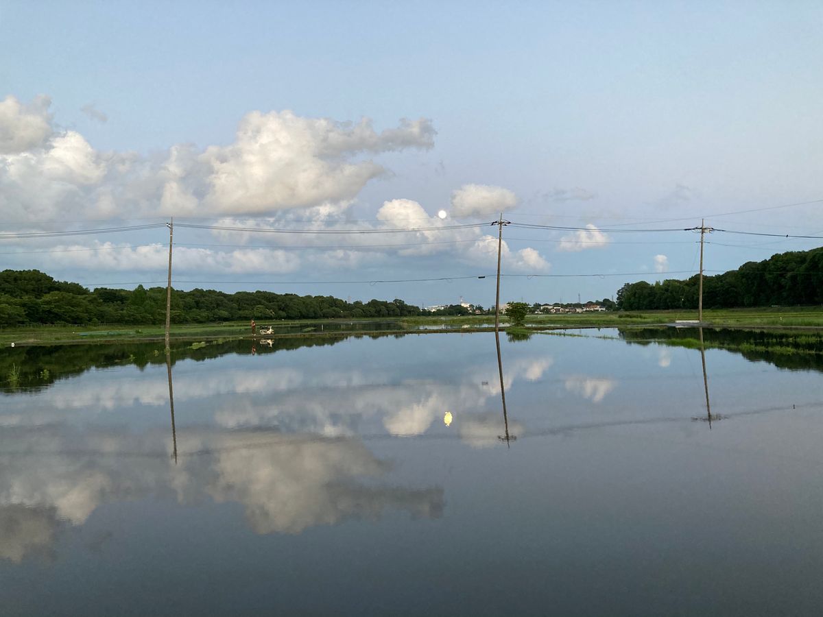 空に月が少しづつ光りだしました。