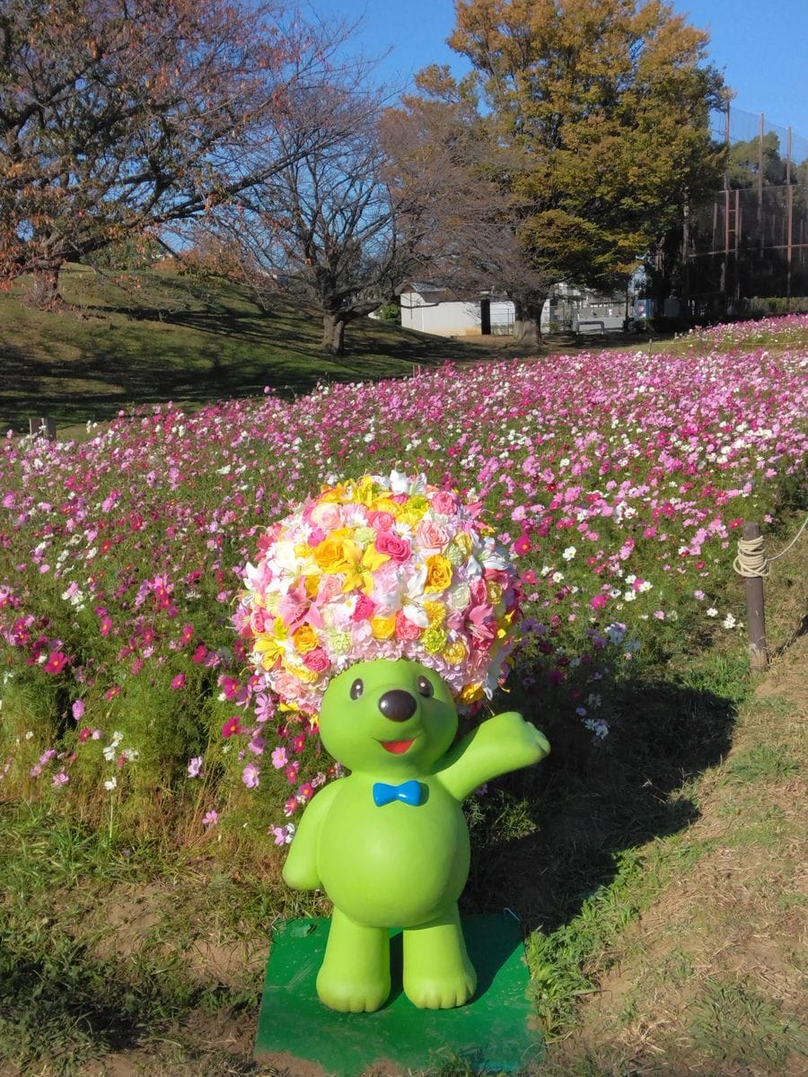 みなさん、こんにちは(*⌒▽⌒*) 続きデチューン🐦❇👊  🐻「こうちゃんお久しぶりブルーフ✨