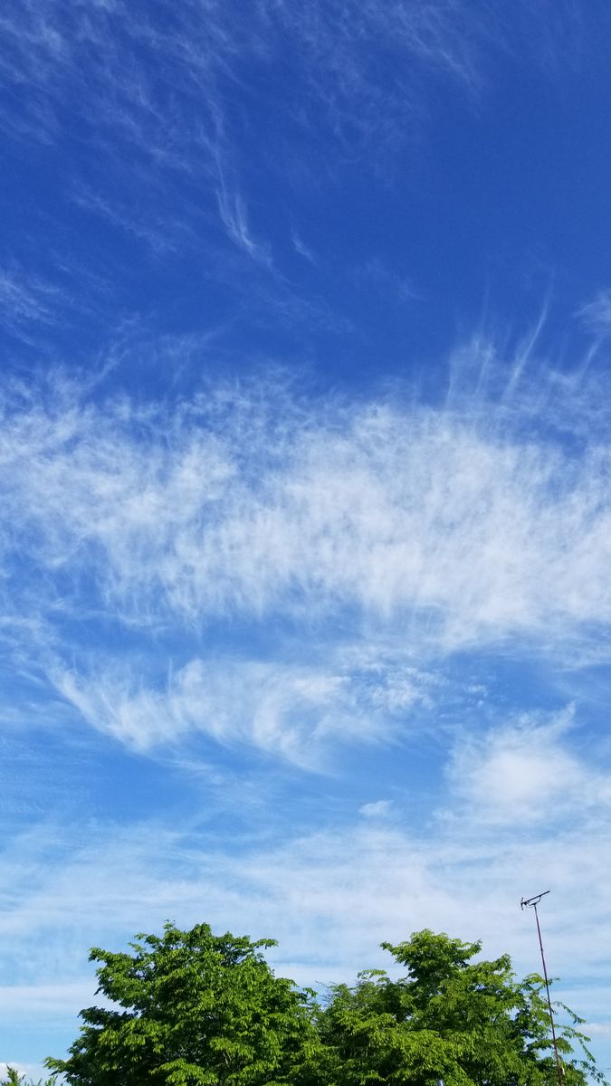 何となく気になった☁️