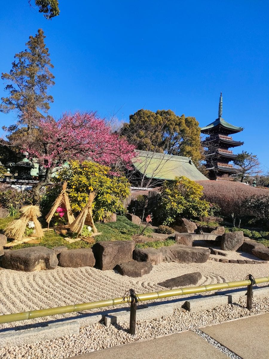 旧寛永寺五重塔をバックに