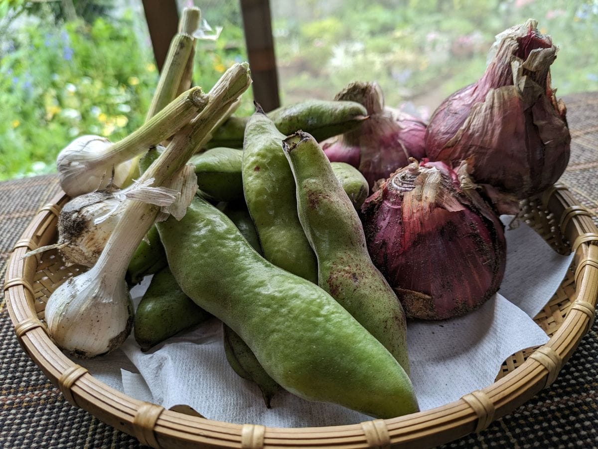 実家から本日届いたお野菜です。   いつも感謝！  ありがとうね🙇