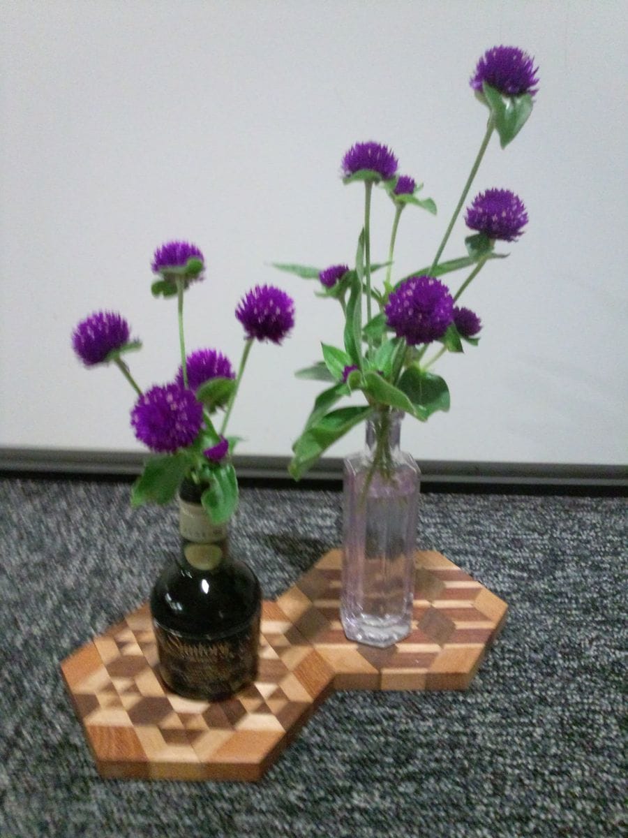 センニチコウの写真 by ぺぺろー センニチコウ 花自体は地味だと思うが、小瓶に生ける