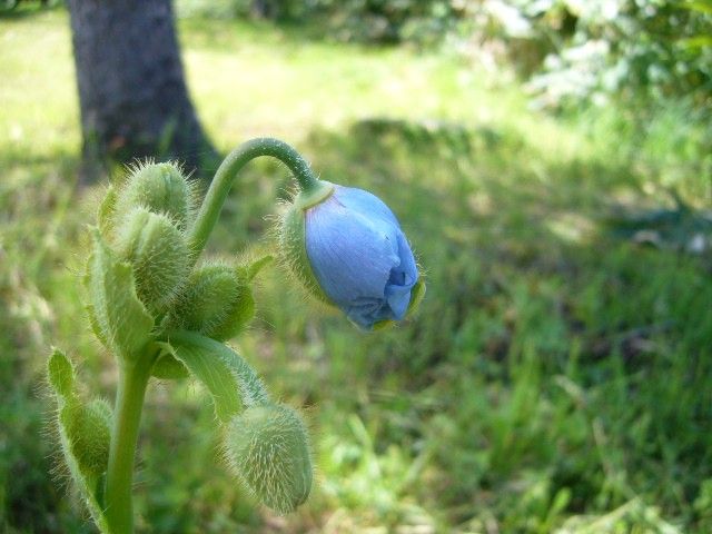 ６月２３日１１時０８分