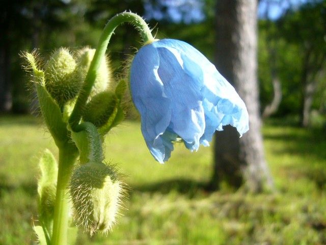 ６月２３日１６時４９分