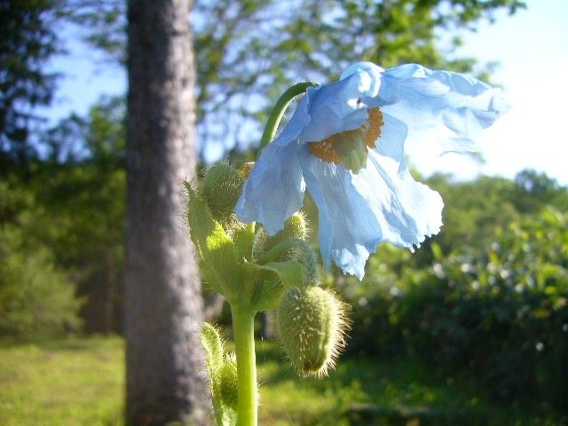 ６月２４日１６時４２分