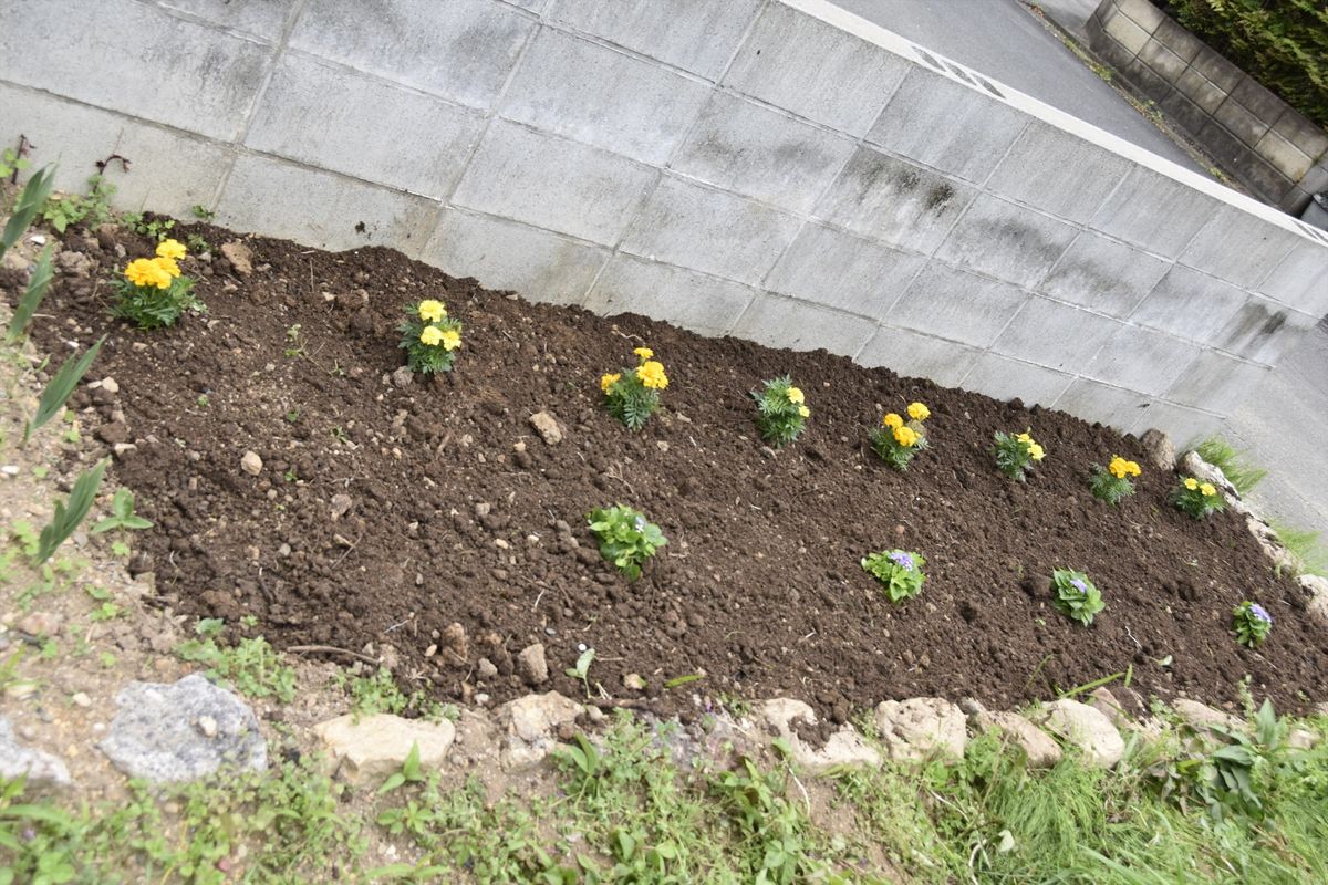 16 04 27畑の片隅に花壇を作りました 庭いじり 土いじり のアルバム みんなの趣味の園芸