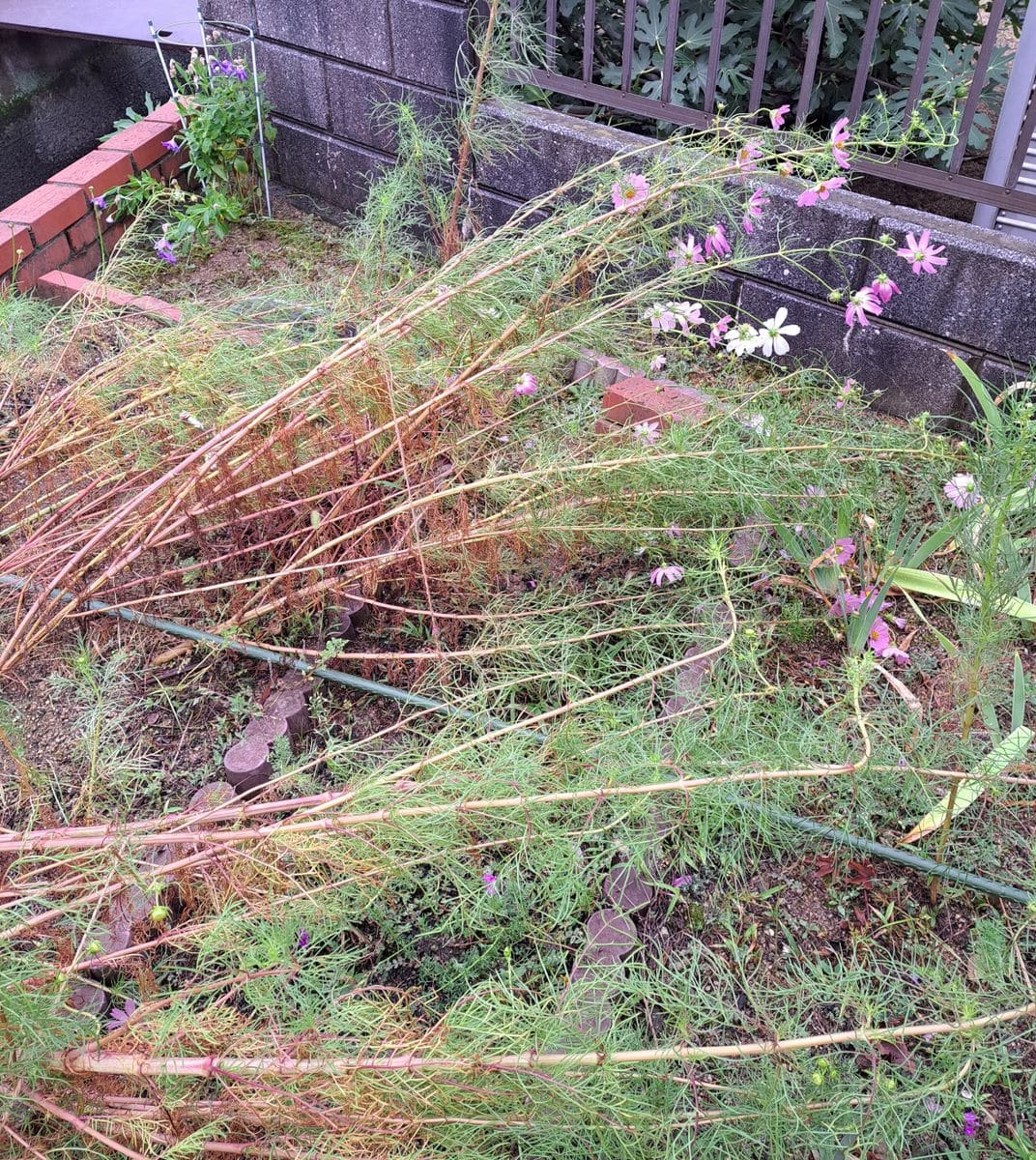 晴耕雨貼