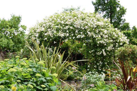 秘密の花園、花盛り！