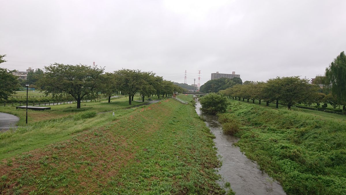 台風のあと