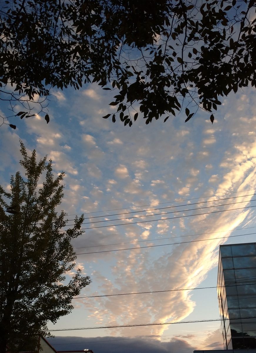 雲と夕焼けに感動