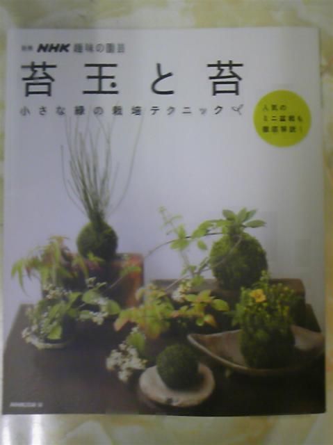 苔玉と苔