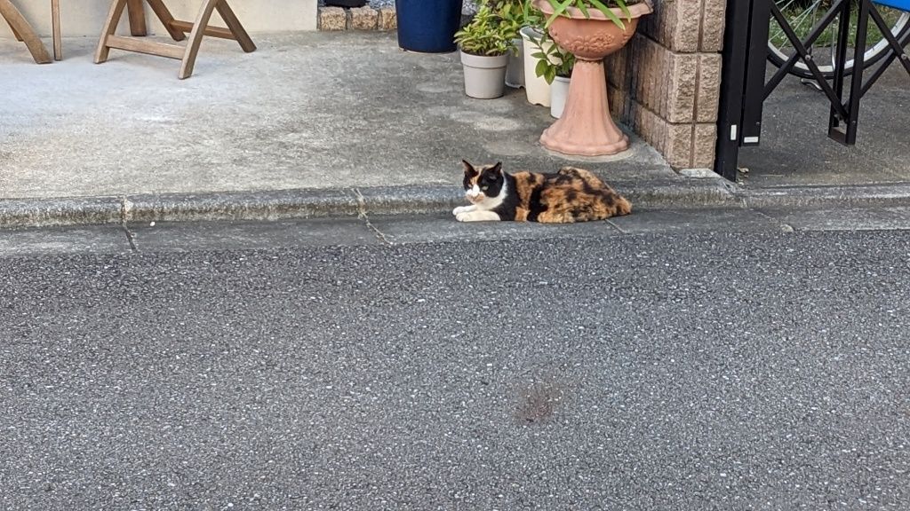 まだ食べられない。