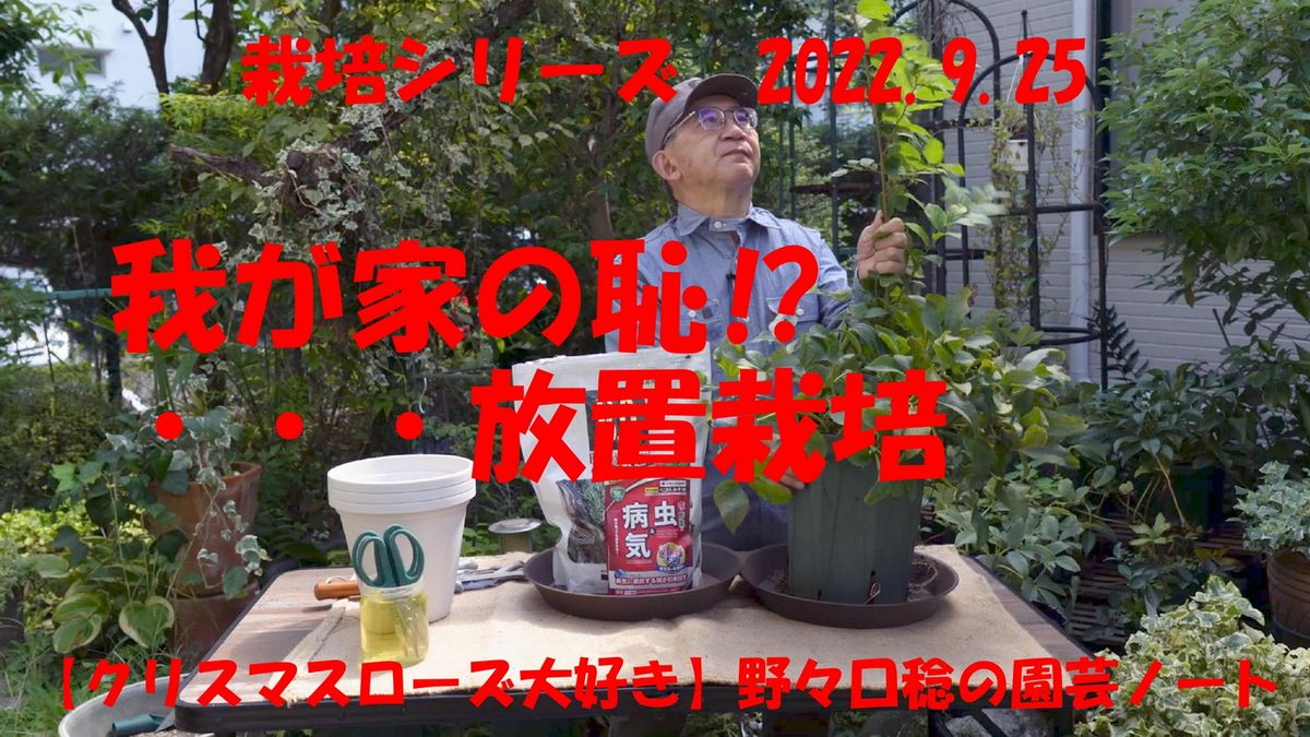 YouTube【我が家の恥⁉️・・・放置栽培】