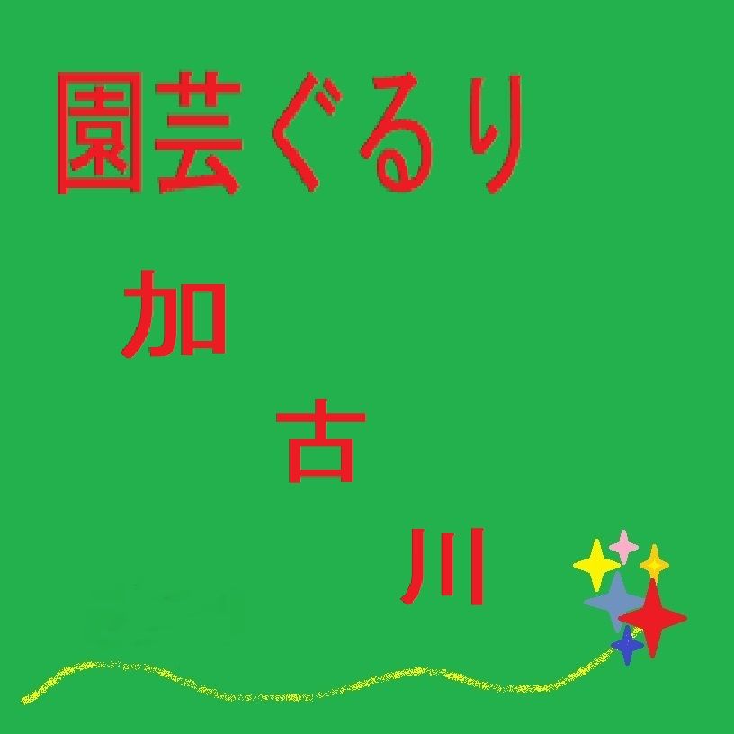 １０月８日　園芸ぐるり（加古川河川敷）