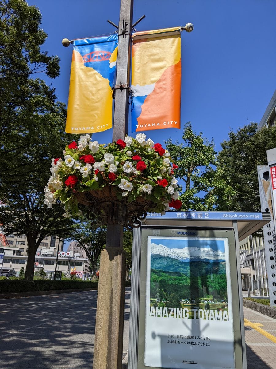 手持ちぶたさん、富山市役所へ