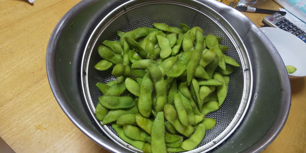 食べ納め夏野菜