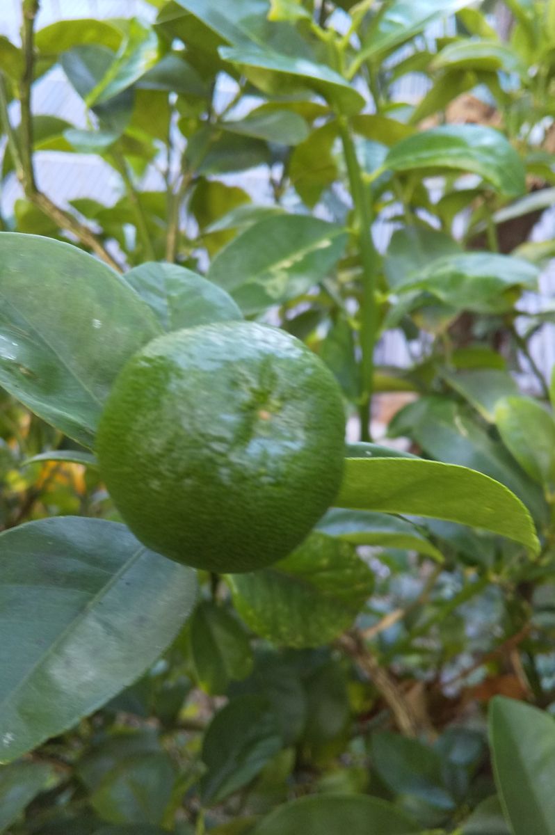 食欲の秋に、備えて🤭😋