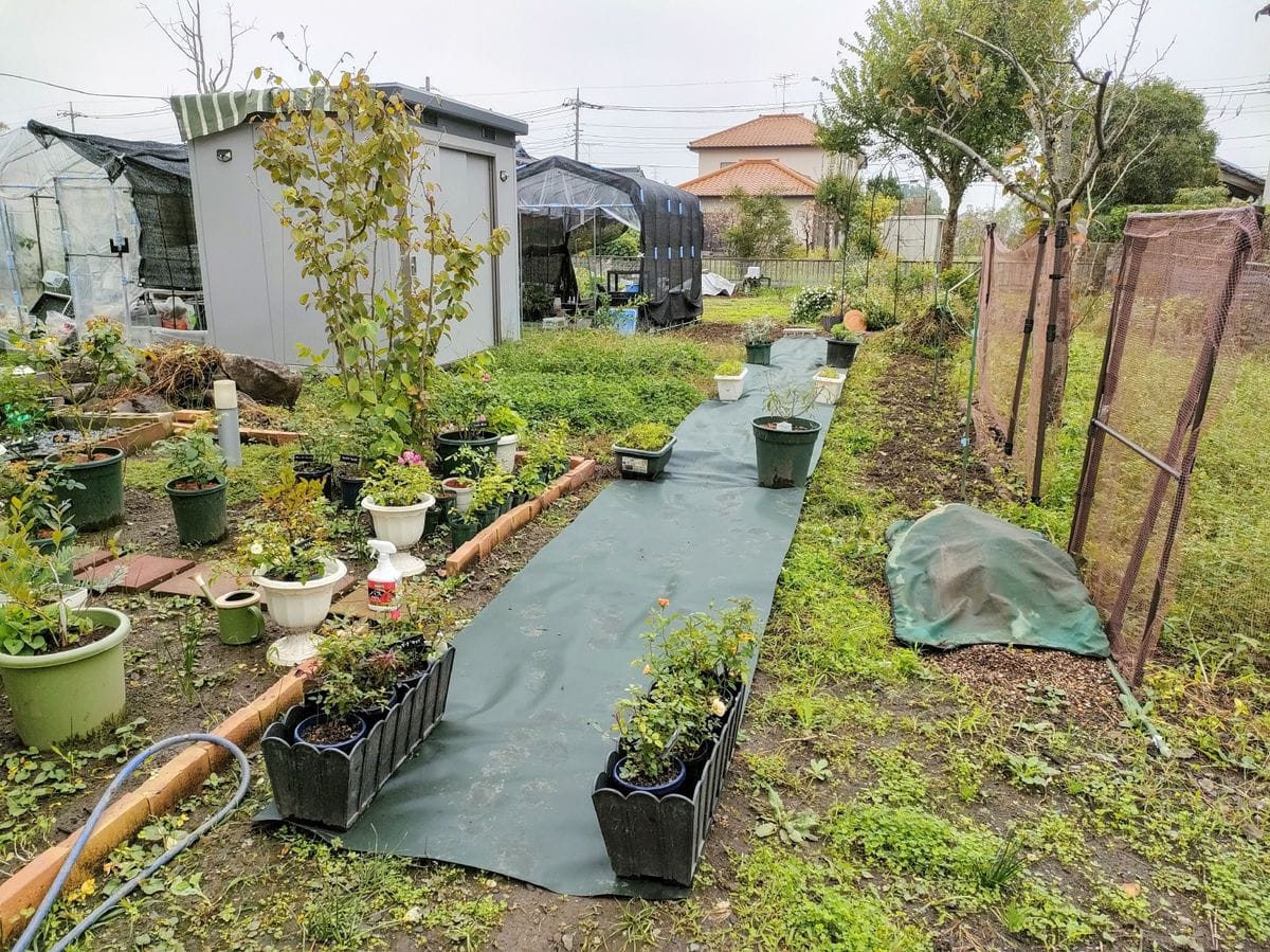 お庭の通路計画✨