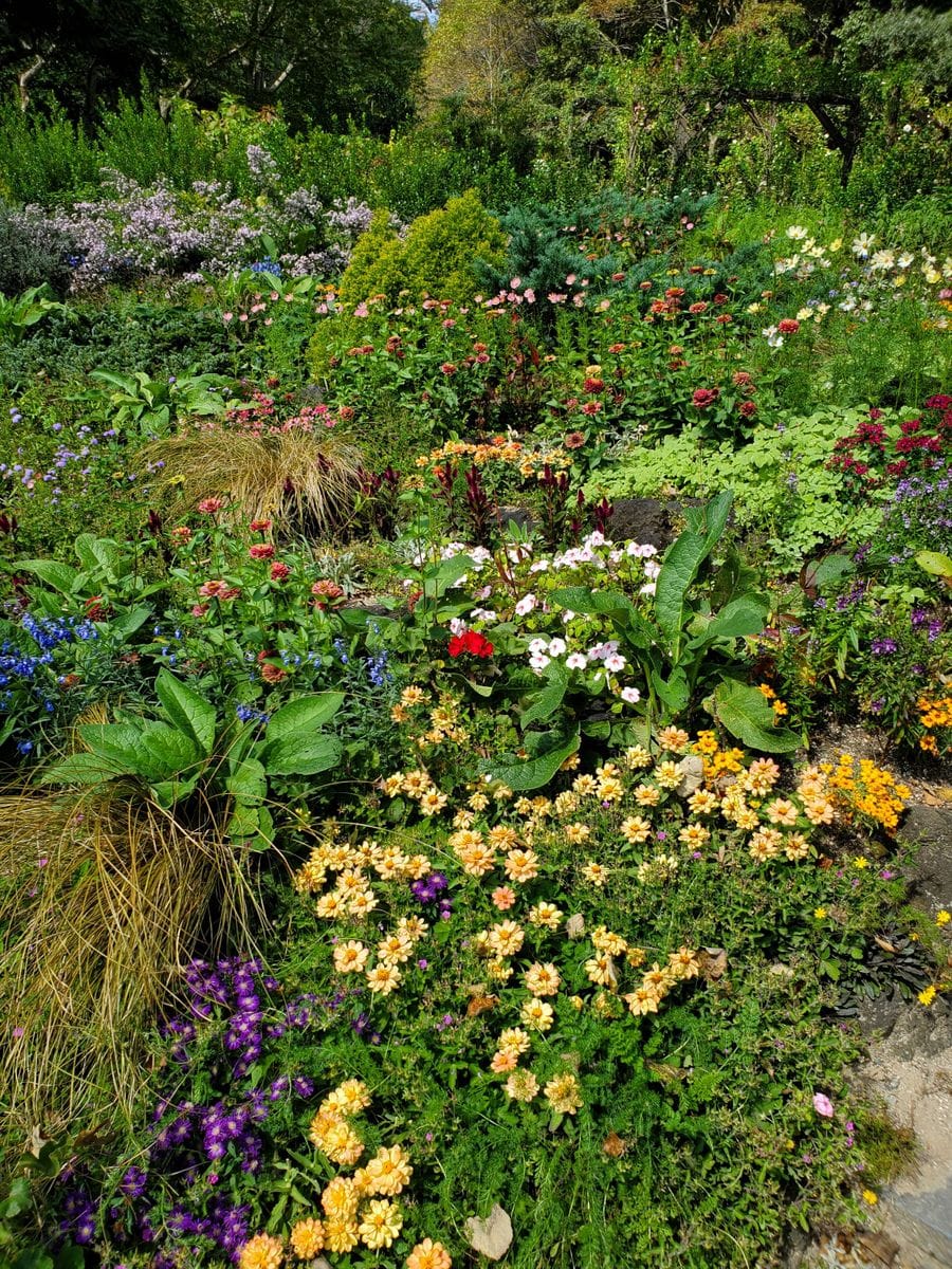 あの頃、私は若かった💠🌸🏵️