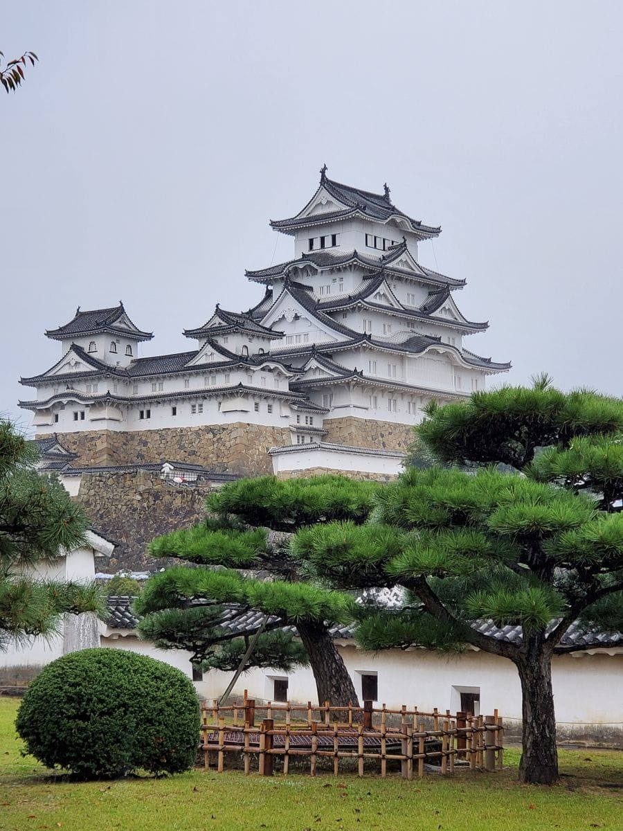 あの頃、私は若かった💠🌸🏵️