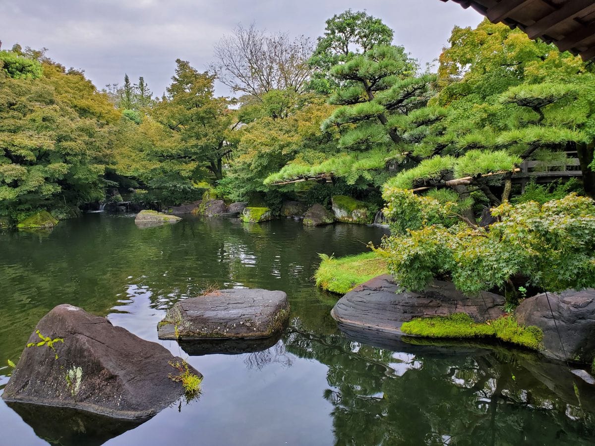 あの頃、私は若かった💠🌸🏵️