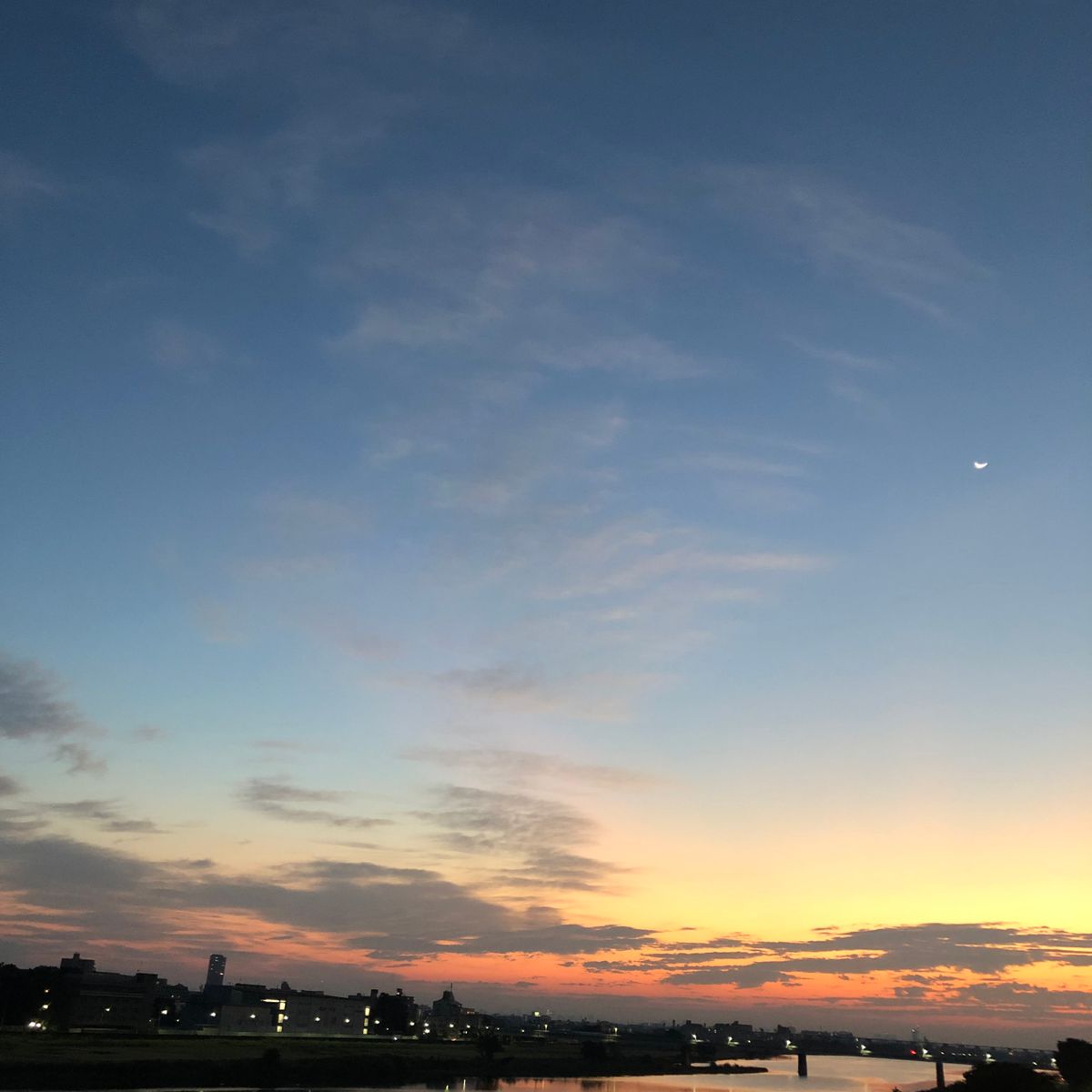 朝からテンション高めで連続投稿(カマキリの画像ありです)