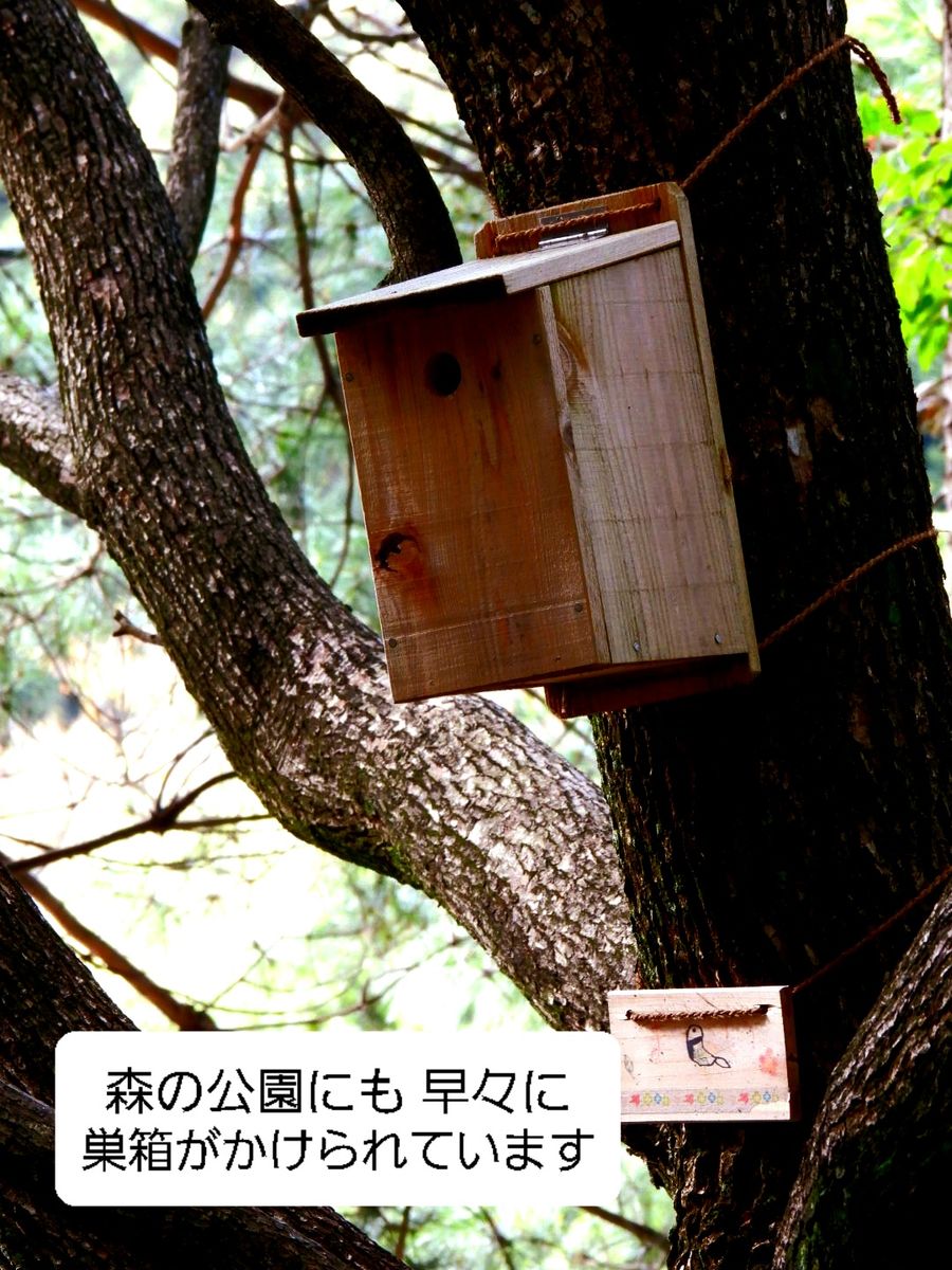 県立自然公園を歩いてきました。 続