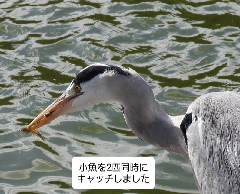 県立自然公園を歩いてきました。 続