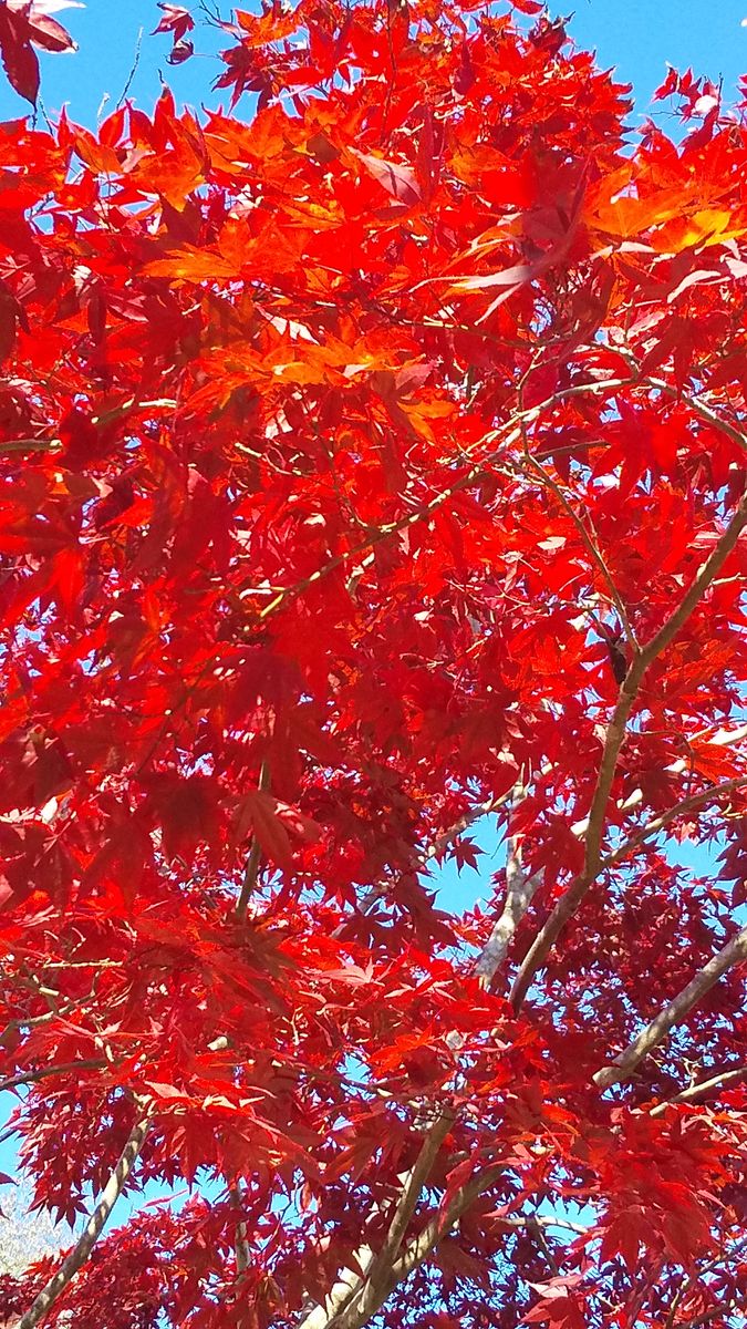 北山公園を散策してきました♪