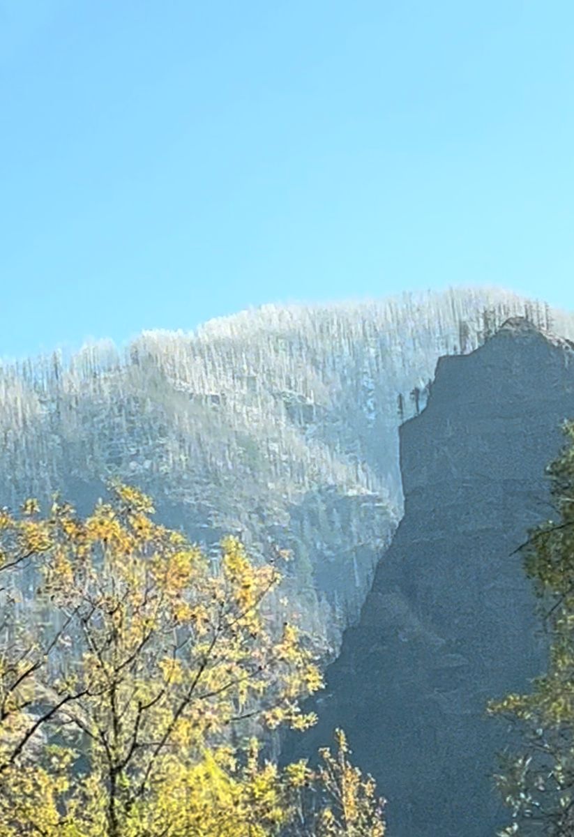 オシャレな雪だるまがお出迎え🍁