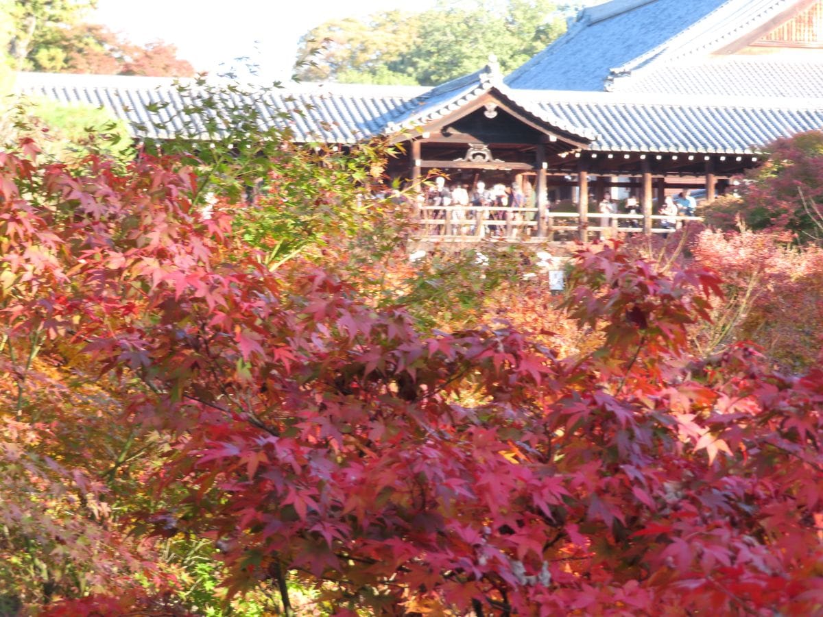 秋の東福寺・即宗院