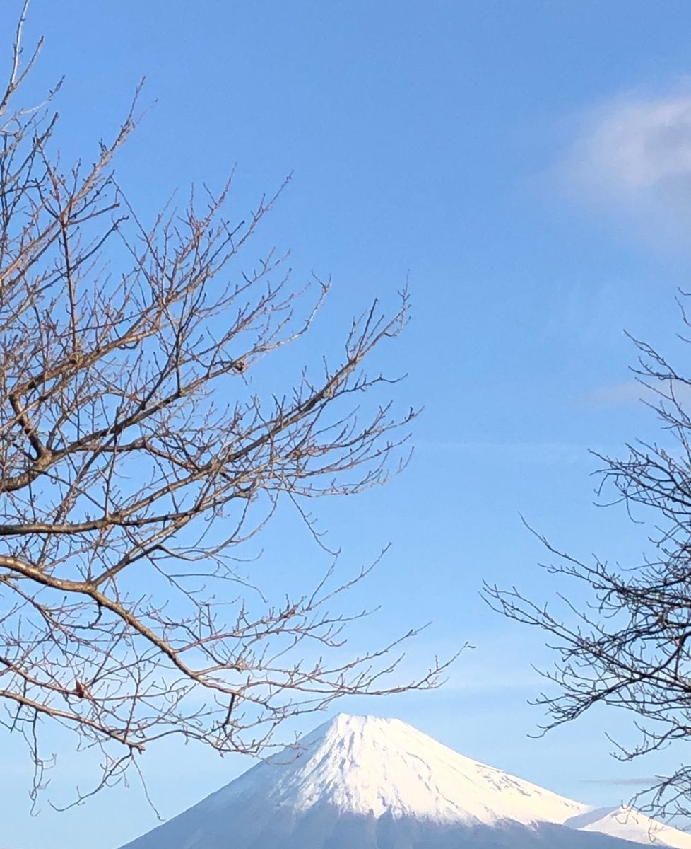 雨の次の日