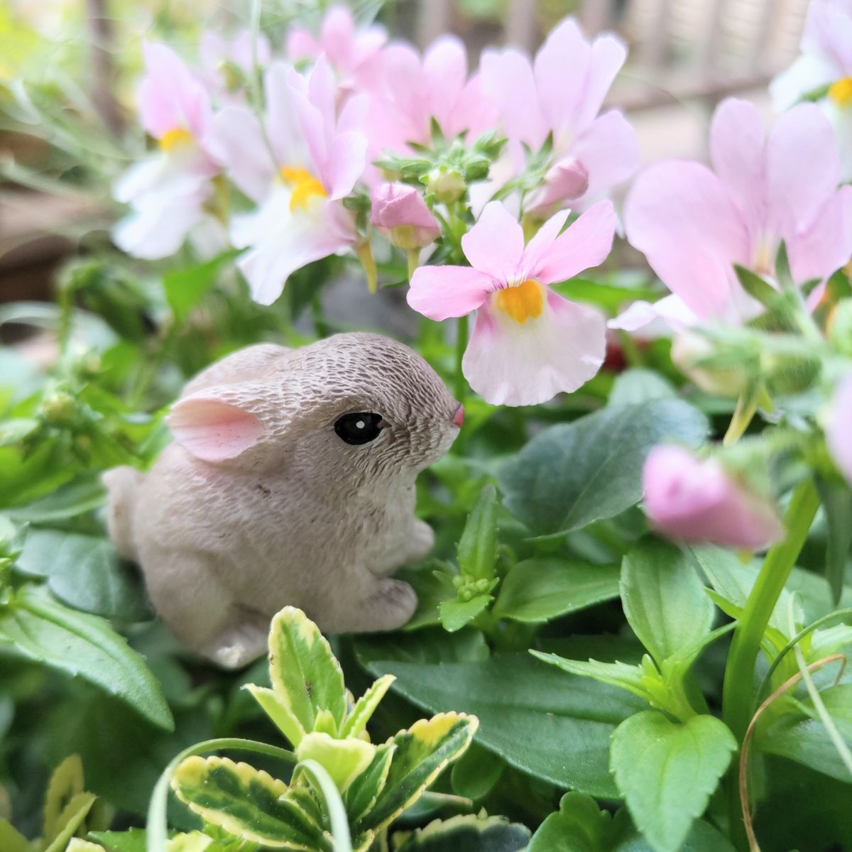 年賀状