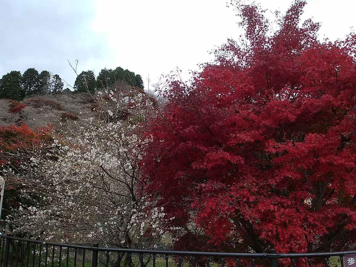 春まで冬眠します。  コメントくださった方ありがとうございます😊