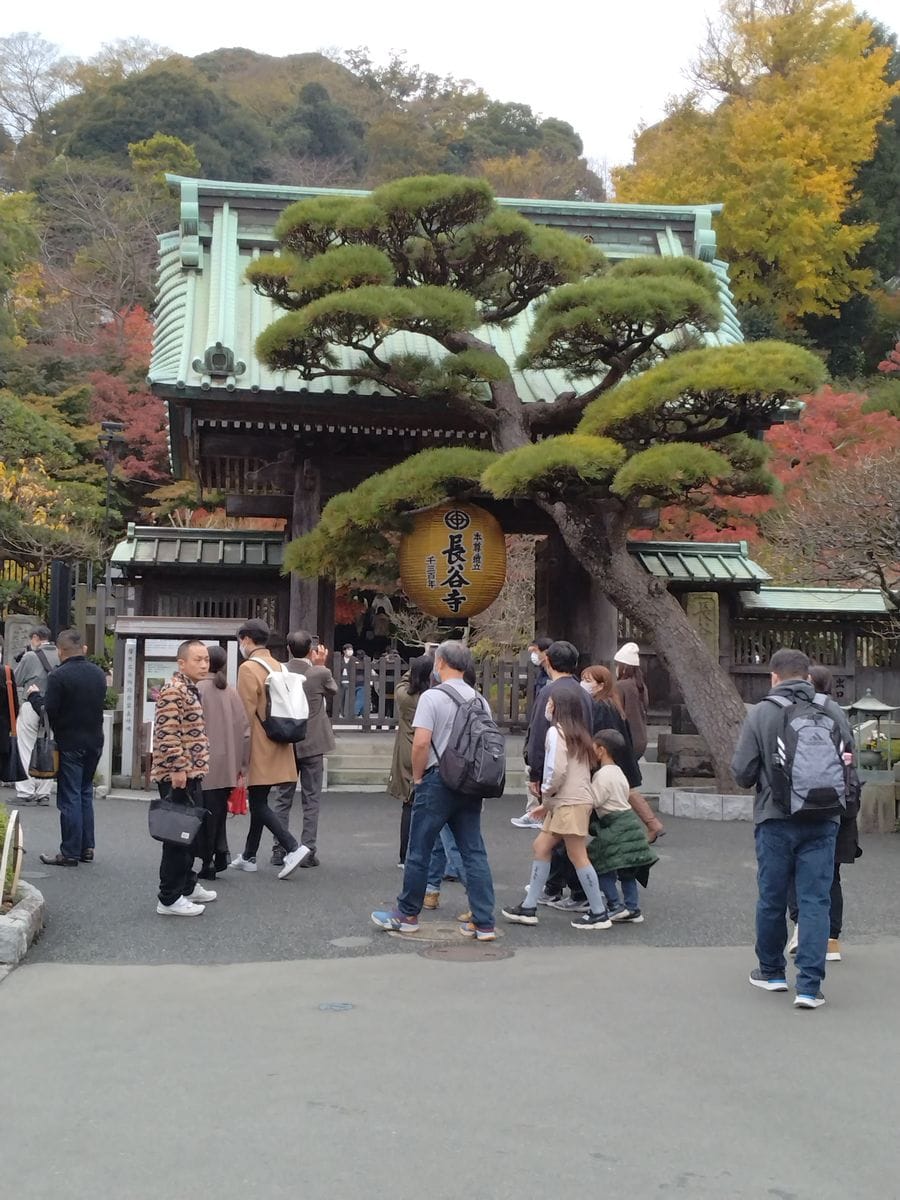 初めての鎌倉