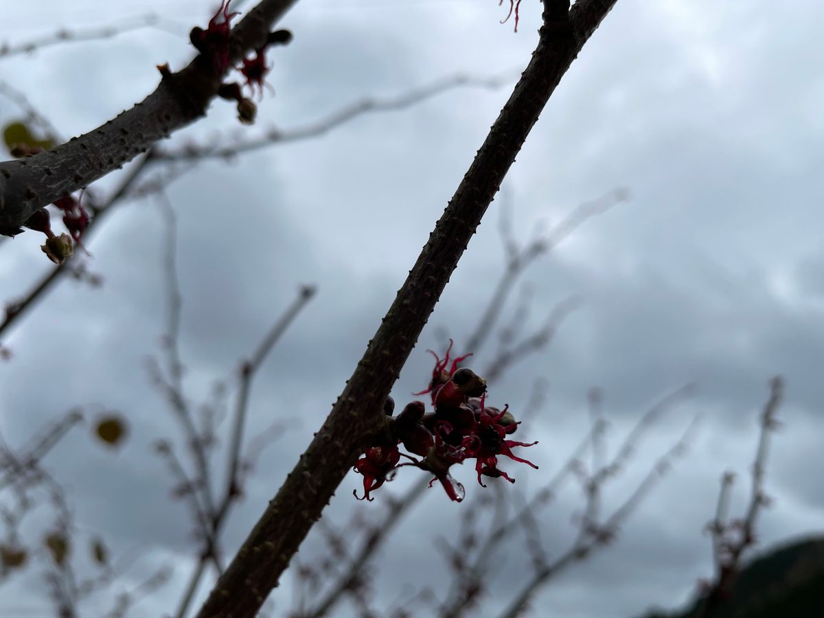 雨の合間から