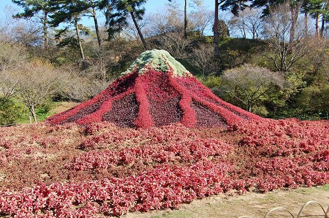 花と緑が奏でる立体アートを見てきました